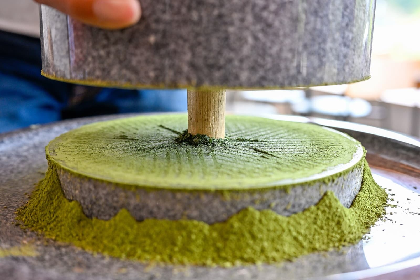Pale green matcha powder coming out of a stone mill in Uji, Kyoto